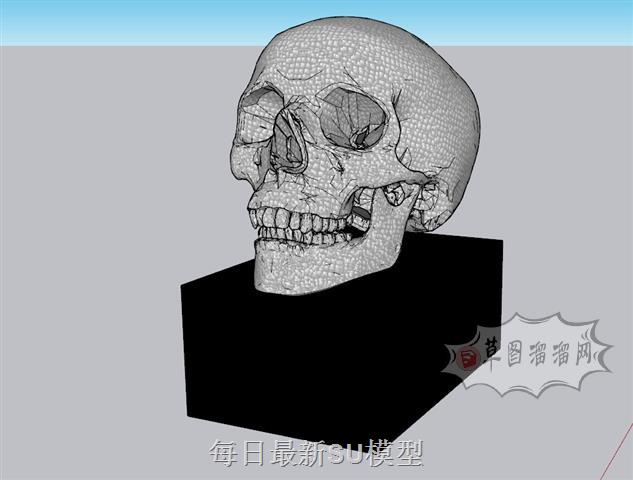 骷髅头装饰摆件SU模型