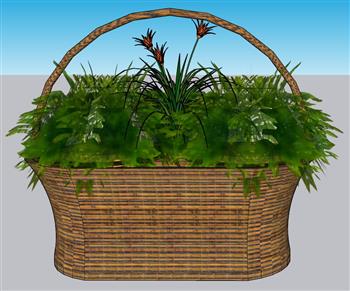 花篮植物装饰SU模型
