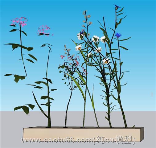 插花装饰SU模型