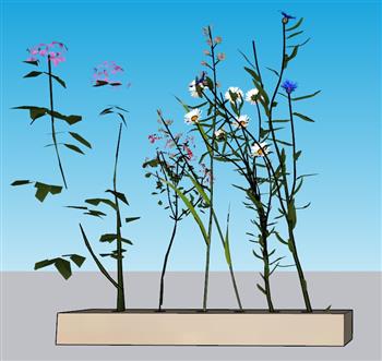 插花装饰SU模型