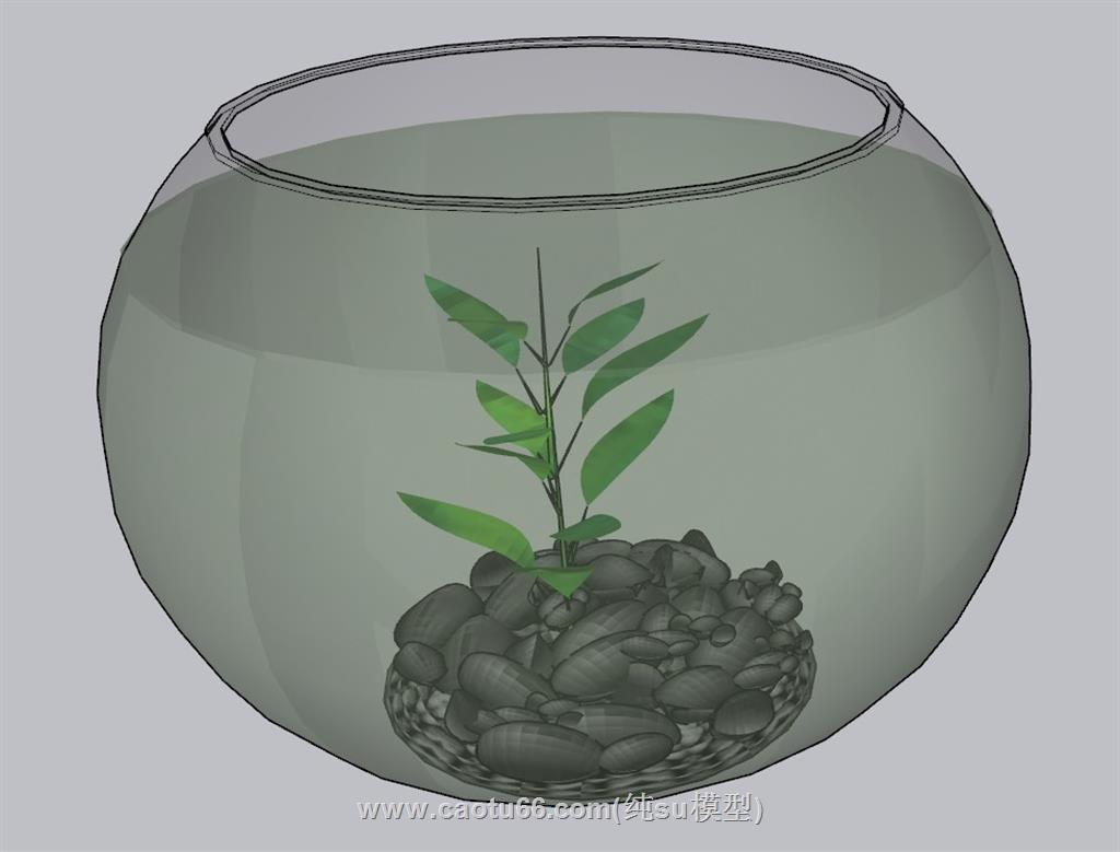 鱼缸植物花瓶SU模型