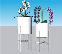 花盆装饰插花SU模型