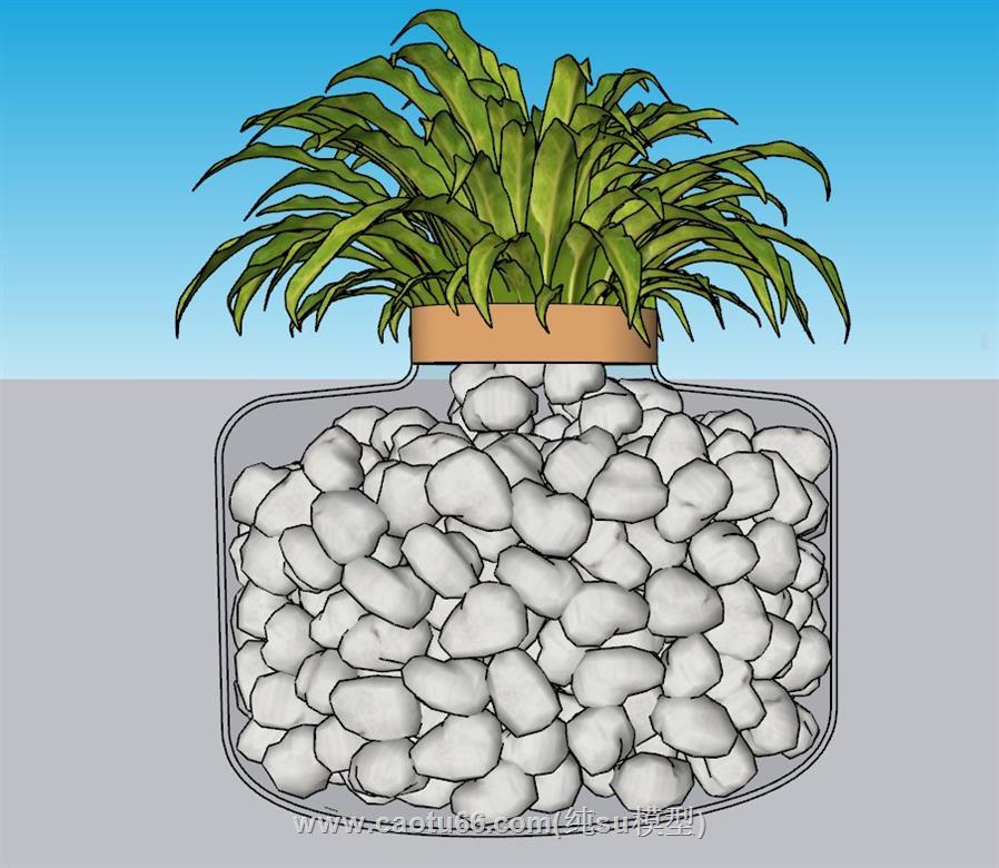 石子花瓶植物SU模型