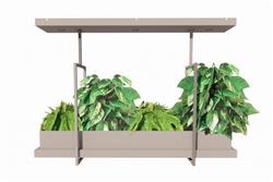 吊篮植物装饰SU模型