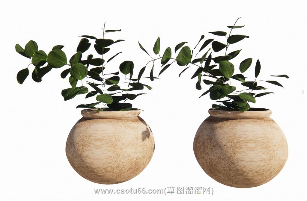 花盆装饰SU模型