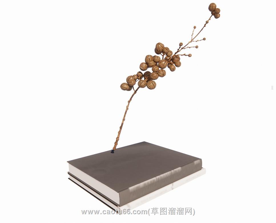 书本花瓶核桃SU模型
