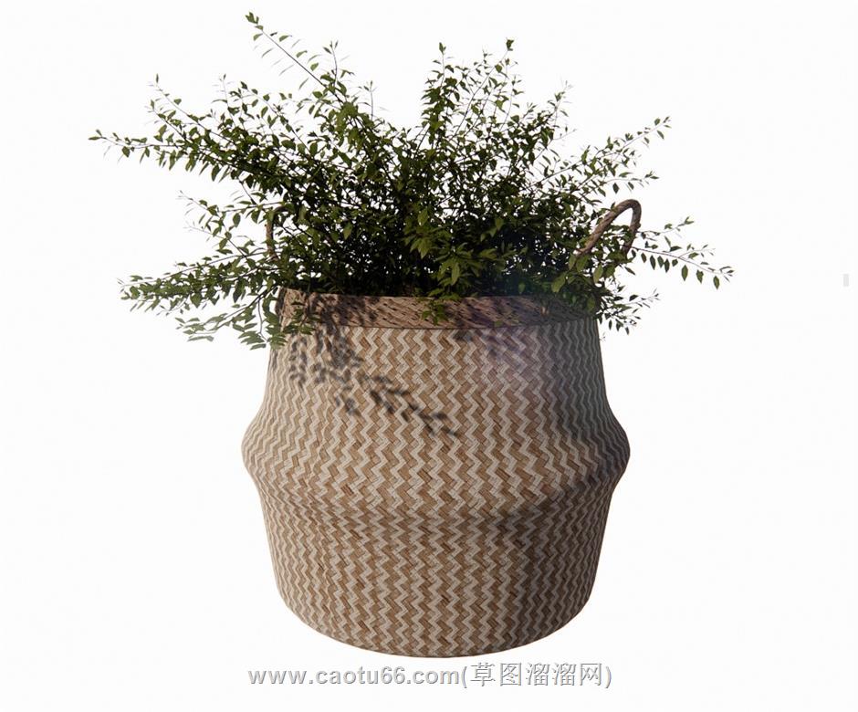 藤制花篮装饰SU模型