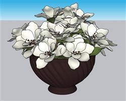 花盆摆件装饰SU模型