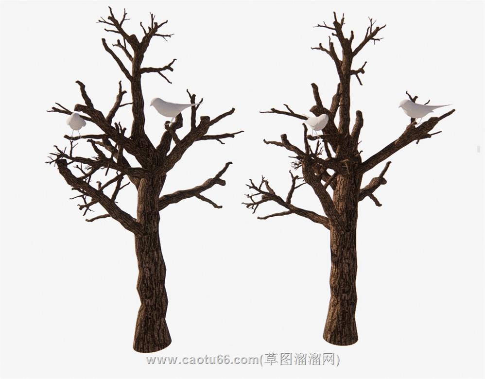 装饰枯树小鸟SU模型