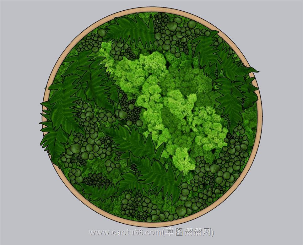 墙饰绿植SU模型