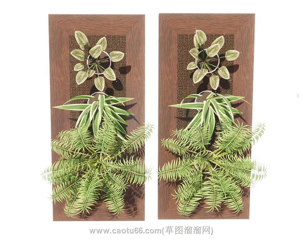 墙饰植物绿植SU模型