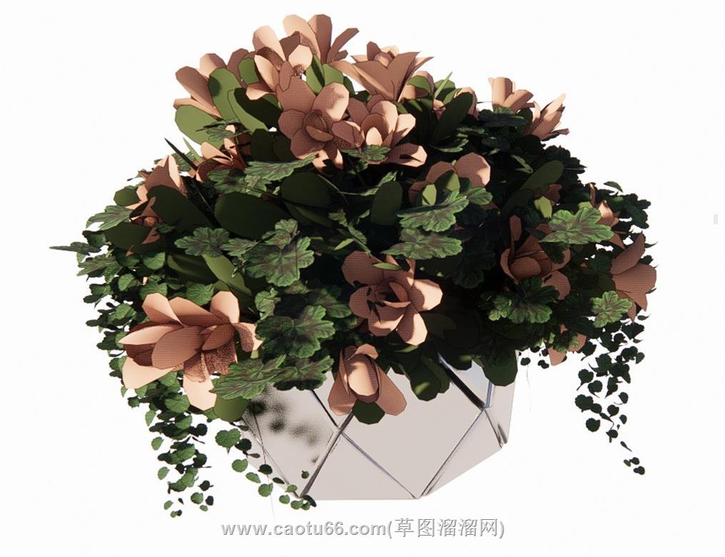花盆植物摆件SU模型