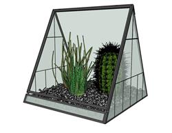 装饰植物仙人球SU模型