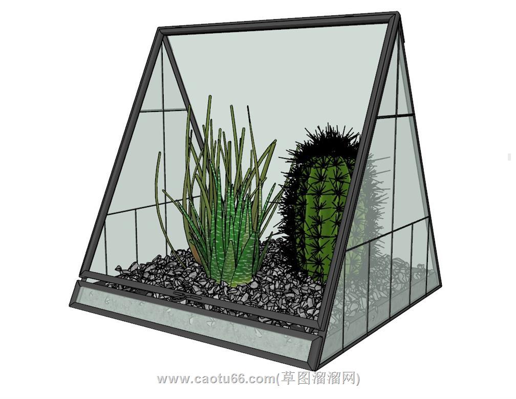 装饰植物仙人球SU模型