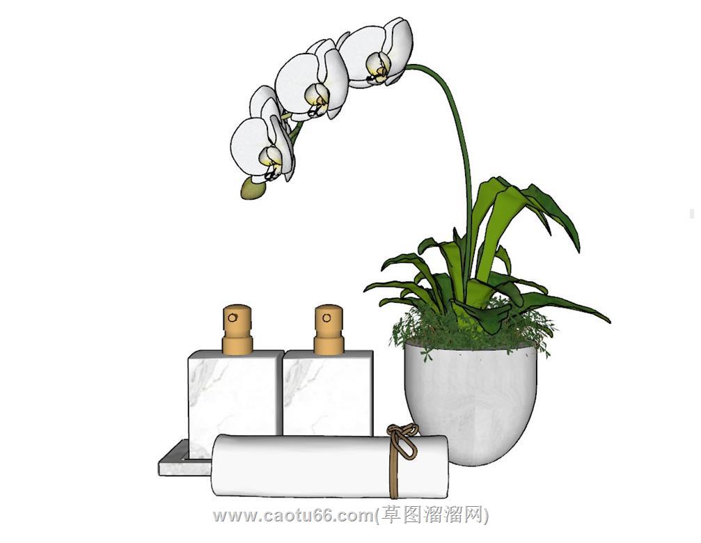 装饰花盆沐浴露SU模型