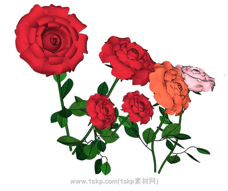 玫瑰花SU模型