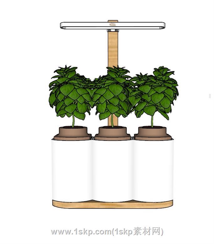 灯照植物装饰SU模型