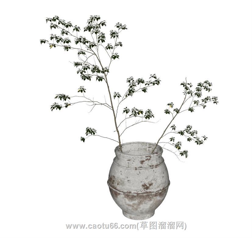 装饰花盆花瓶SU模型