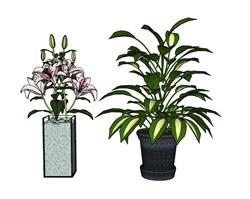 装饰花瓶SU模型
