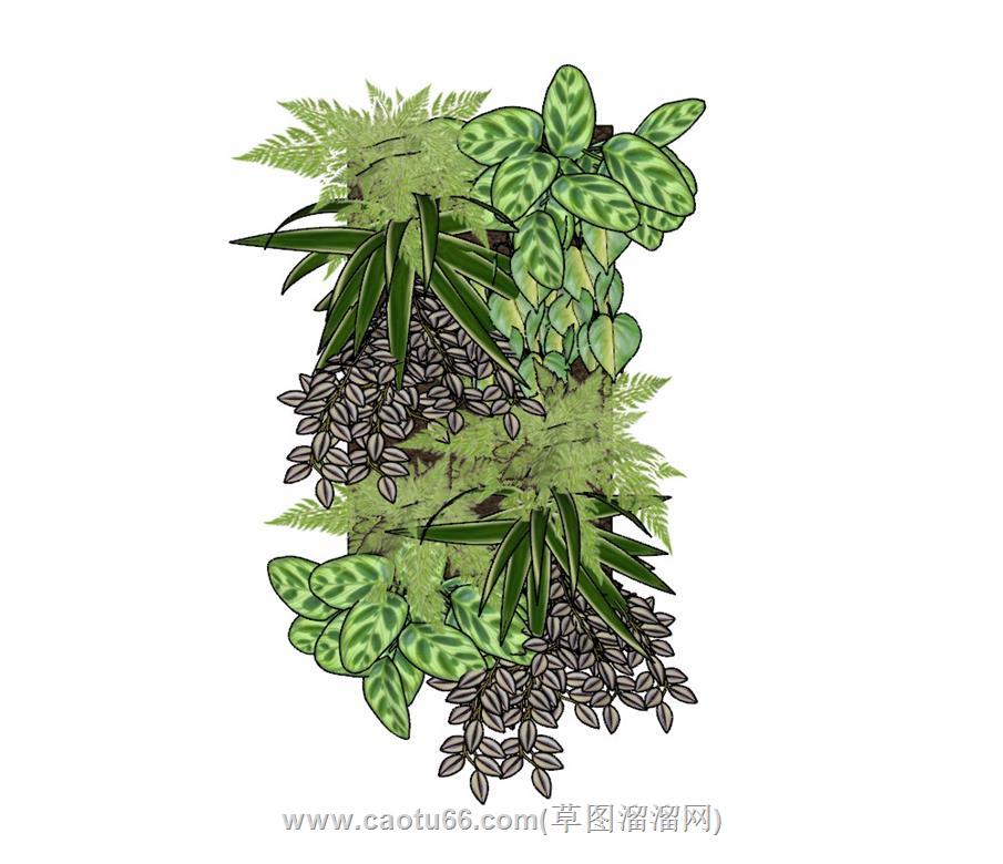 绿植墙饰品SU模型