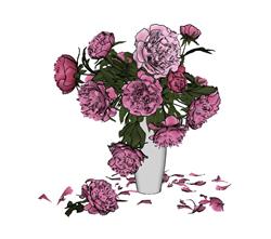 玫瑰花花瓶花瓣SU模型 免费sketchup模型下载