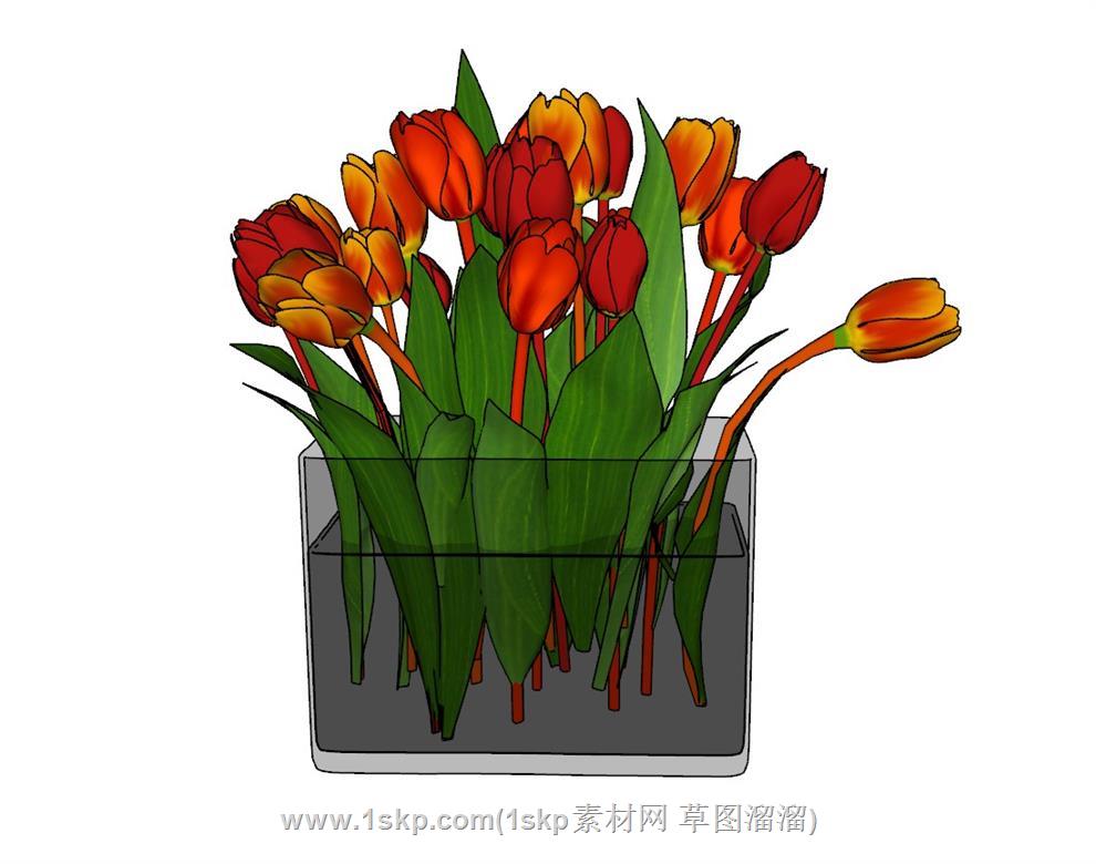 水养花瓶植物SU模型
