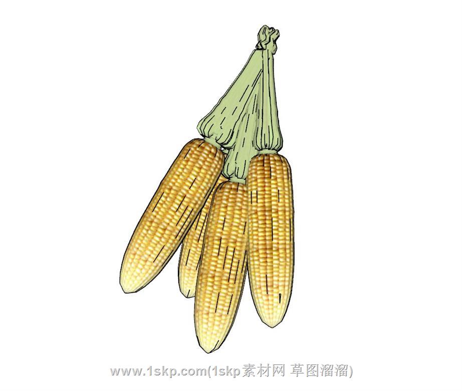 玉米乡村SU模型