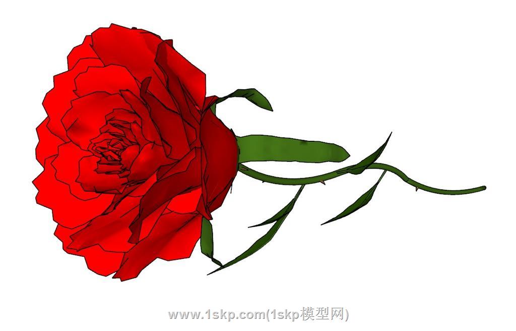 一枝玫瑰花SU模型