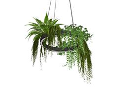 绿植吊坠装饰