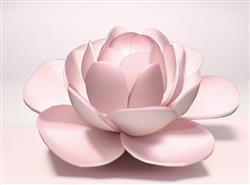 装饰花朵莲花