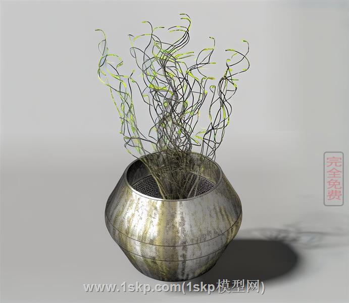 花瓶花盆枯枝