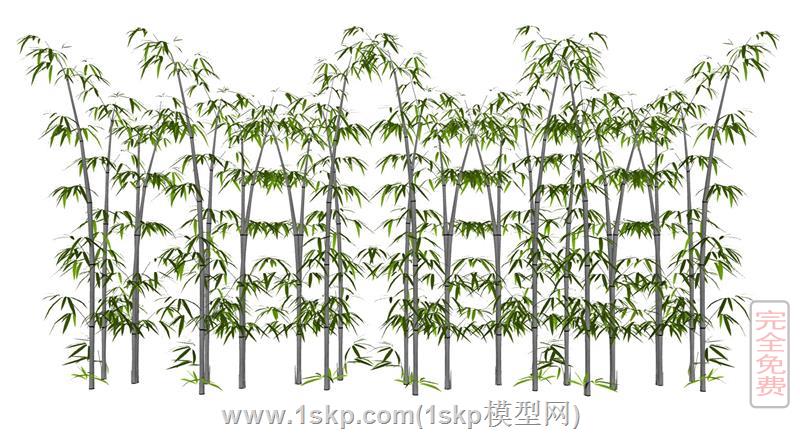 竹子绿竹