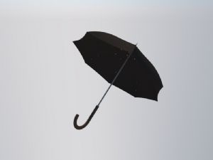 雨伞SU模型