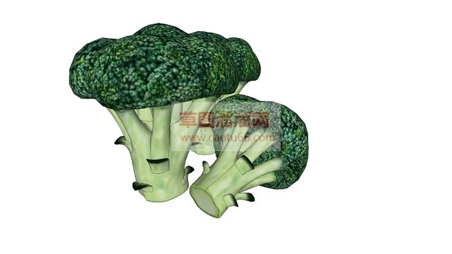 西兰花SU模型