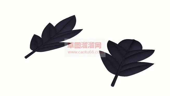 叶子树叶免费SU模型