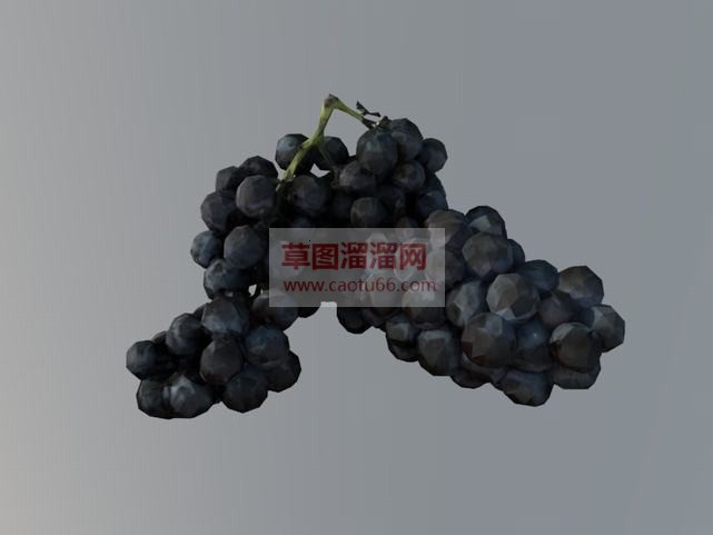 3D葡萄免费SU模型
