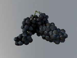 3D葡萄免费SU模型