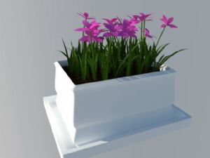 花坛花池SU模型