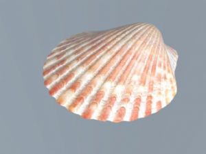 贝壳免费SU模型