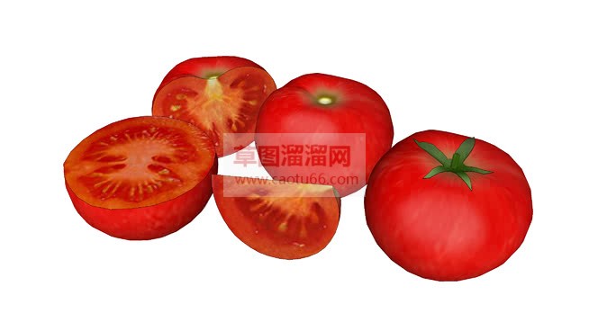 番茄西红柿组SU模型
