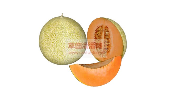 哈密瓜水果免SU模型