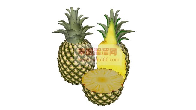 画菠萝SU模型