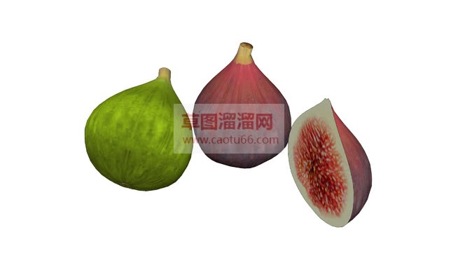 无花果免费SU模型
