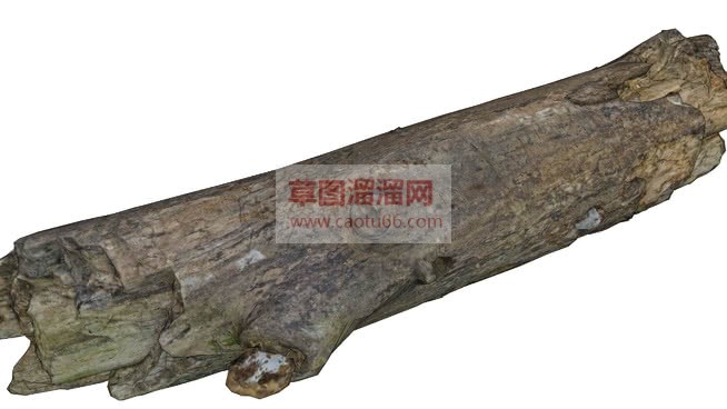 空腐木树木免SU模型