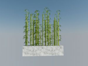 装饰景观竹子SU模型