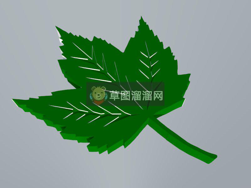 绿叶叶子SU模型