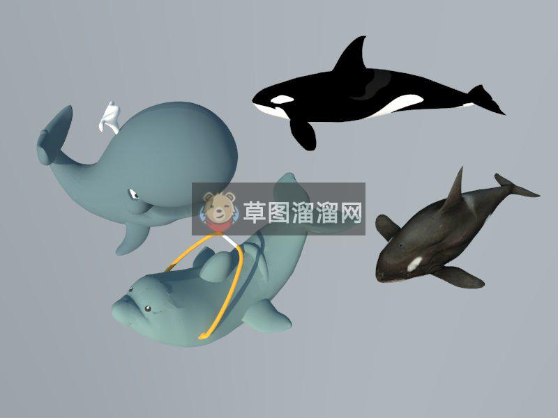 鱼SU模型