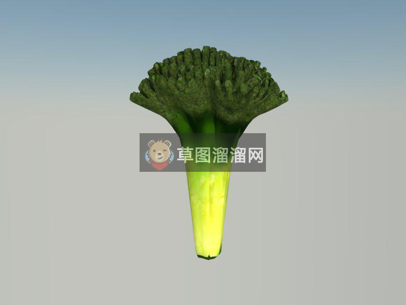 西兰花蔬菜SU模型