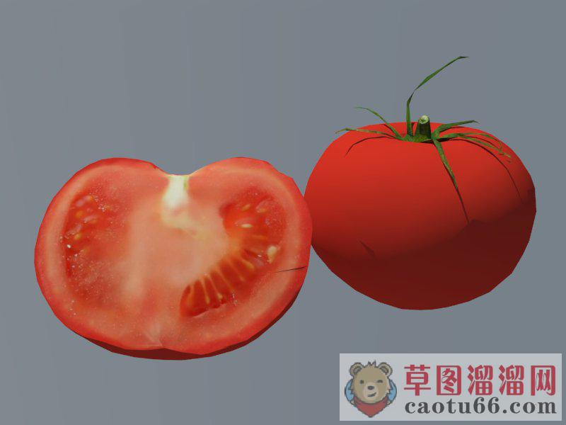 番茄西红柿蔬菜SU模型