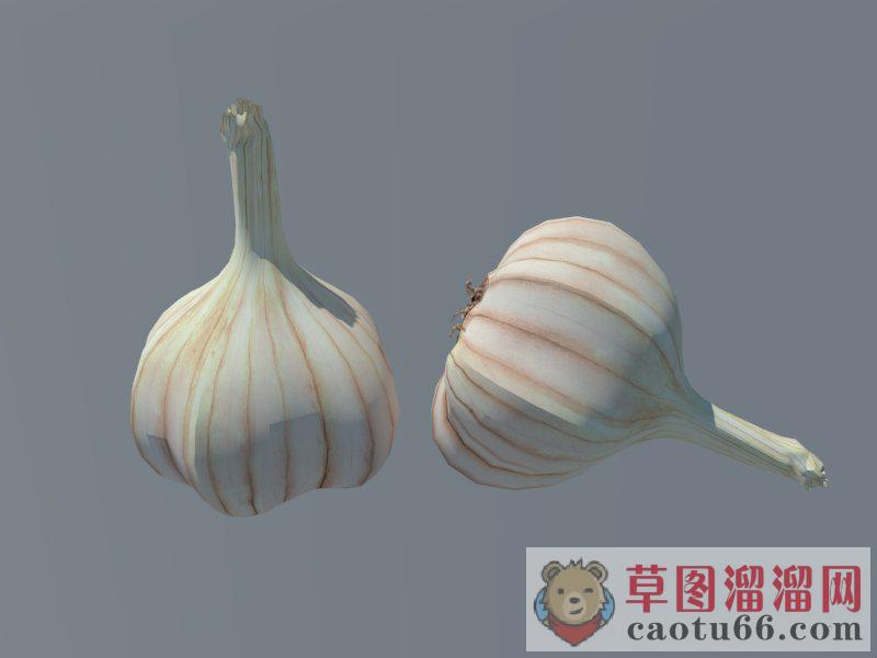 大蒜蒜米SU模型